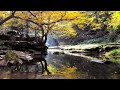Quiet Time The God: Instrumental Worship & Prayer Music With Scriptures & Autumn🍁CHRISTIAN piano