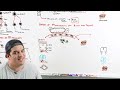 Acute Myelogenous Leukemia (AML)