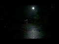 Real Rain Ambience - Thunderstorm Rain Sounds for Sleeping, Howling Wind, Great Thunderstorm Sounds