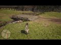 Red Dead Redemption 2_20181125202250