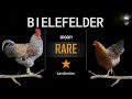 Top 10 Fast-Growing Dual Purpose Chicken Breeds | Highest Average Daily Gain | Meat and Egg
