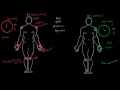 Osteoarthritis vs rheumatoid arthritis symptoms | NCLEX-RN | Khan Academy