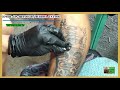 Rb Ink Tattoo # 17    Cover up Retouch Tattoo ,Buddha Tattoo DeSIGN