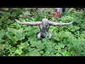 4 Cornerstones of a Great Garden with Jay Sifford - Unbelievable Garden