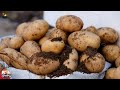 UNEXPECTED RESULTS - Planting potatoes in bags, how to grow potatoes