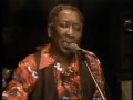 Muddy Waters - You Don't Have to Go - ChicagoFest 1981