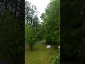 Wake low winds in Northeast AL