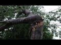 A Walkthrough My Yard after a Tornadic Storm