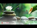 Relaxing Sleep Music + Insomnia: Bamboo, Stress Relief, Deep Sleep, Relax & Therapy Music 🌿 #3