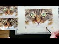 How to Paint a Realistic Cat Face in Watercolor, Course Preview