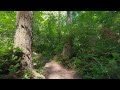 Woodland Nature Walk (with Waterfall) | 4K Virtual Hike | Alsea Falls Oregon