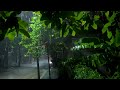 The best rain sound created by heavy rain, cool white noise ASMR that helps you forget your insomnia