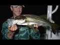 Catching WILD FISH Under CREEPY BRIDGE For My SALTWATER POND!