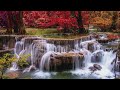 Relaxing Solo guitar music , Peaceful Music for Meditation, Stress Relief, Massage