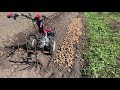 A SUPER WAY to dig potatoes