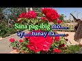 Sana Pag-ibig Mo Ay Tunay Na - By J Brothers - Cover By Idol Reynan - With Lyrics - OPM Song