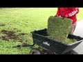 How to Improve Your Landscape Beds by Just Adding Sod