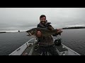 Cheap and Easy Way to Troll for HUGE Lake Trout - 3 Way Rig
