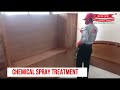 Bed Bugs Chemical Spray Treatment | Pepcopp Pest Control | Bed Bugs