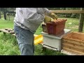 Getting New Bees