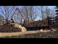 Logger loading aspen logs from my clear cut