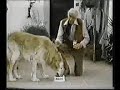 Alpo Dog Food Commercial (1980)