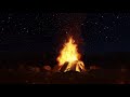 ✨Campfire Under the Stars✨Crackling Fire and Crickets to Sooth the Soul | 3 Hours Campfire Sounds