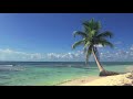 Caribbean Music Happy Song: Caribbean Music 2018 -  Relaxing Summer Music Instrumental (Beach Video)