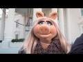 Miss Piggy Goes To Washington | The Muppets