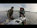 JUMBO PERCH Ice Fishing Devils Lake, ND | Ice Fishing 2024 | Ep. 1
