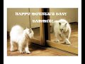 Stank Funk Music Presents Happy Mother's Day Dammit!