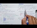 Lysosome Structure And Functions | Autophagy | Class 11 Biology