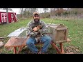 Havahart vs. Homemade Trap.  Which is Better for Trapping Raccoons?