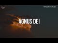 Agnus Dei (Worthy Is The Lamb) || 3 Hour Piano Instrumental for Prayer and Worship
