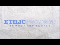 Etilic Project - Demos + Homeworks