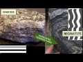 Identifying Metamorphic Rocks -- Earth Rocks!