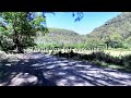 Relaxing Sounds of the Australian Bush | Upper Colo NSW