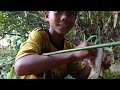 Câu Cá Rừng Mùa Nước Lũ | 1 Ngày Bội Thu Cho Sang Vlog
