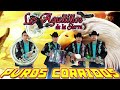Los Aguilillos de La Sierra~ Las Mejores Canciones~ Corridos y Rancheras   Musica Mexicanas