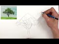 How to Sketch & Draw Trees