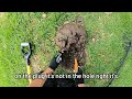 metal detecting video