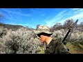 Tehachapi hunting trip