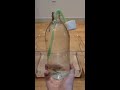 The fastest way to empty a bottle! #science #shorts #experiment
