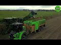 The Most Modern Agriculture Machines That Are At Another Level,How To Harvest Cucumbers In Farm▶5