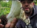 Discover Mushrooms in the PNW Documentary; Episode 1