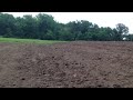 Traxxas slash 4x4 dirt clump field