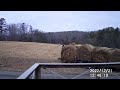 Hay for the horses. Just one load for now.