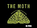 The Moth Radio Hour: A Point of Beauty