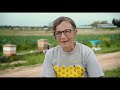 The Pollinators (FULL MOVIE) Bees, Food Supply, Environment | Award-Winning Documentary