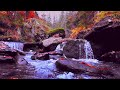 Relaxing Music With Water Sound |Sleeping Music with water sounds |@Peaceandnaturesounds